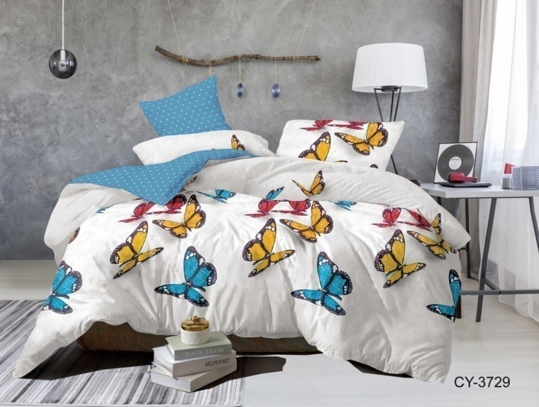 КПБ 2сп поплин с европростыней Люксор <3729 CY A/B>