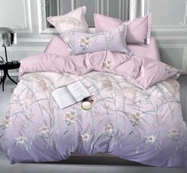 КПБ 2сп сатин с европростыней Люксор <20208 SHZY А/В>